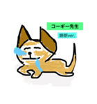 コーギー先生（個別スタンプ：6）