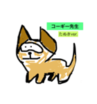 コーギー先生（個別スタンプ：7）