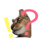 猫のはるです2（個別スタンプ：15）