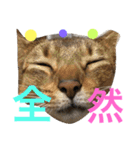 猫のはるです2（個別スタンプ：21）