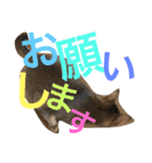 猫のはるです2（個別スタンプ：32）