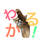 猫のはるです2（個別スタンプ：36）