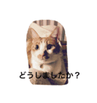 ゆるゆるのニャンコ（個別スタンプ：6）
