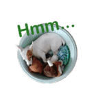 Gizmo the Ugly Jack set 1 ver.2（個別スタンプ：2）