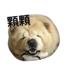 liuhoohoo（個別スタンプ：6）
