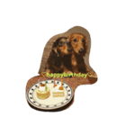 TEDMile（個別スタンプ：8）