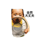 素朴な次男（個別スタンプ：8）