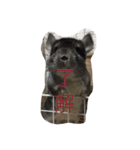 犬とネズミ2（個別スタンプ：2）