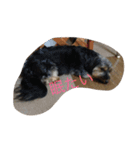 犬とネズミ2（個別スタンプ：9）