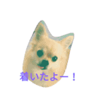 毎日使える！かわいいチワワのスタンプ（個別スタンプ：8）