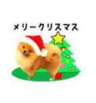 ぷーちゃんのクリスマスと年末年始（個別スタンプ：7）