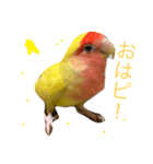 ピーーーーーーーーーちゃん（個別スタンプ：3）