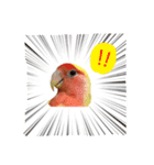 ピーーーーーーーーーちゃん（個別スタンプ：6）