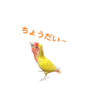 ピーーーーーーーーーちゃん（個別スタンプ：7）