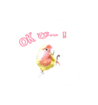 ピーーーーーーーーーちゃん（個別スタンプ：8）