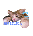 おフェイさんのつぶやきスタンプ（個別スタンプ：2）