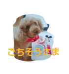 トイプーのPEACH  wanwan  wow（個別スタンプ：7）