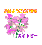 花の丁寧挨拶（個別スタンプ：1）