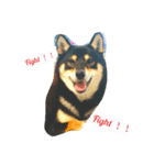黒柴犬春樹（個別スタンプ：6）