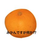 mikantati（個別スタンプ：1）