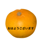 mikantati（個別スタンプ：2）