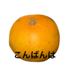 mikantati（個別スタンプ：4）