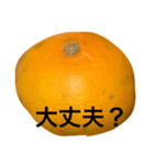 mikantati（個別スタンプ：6）