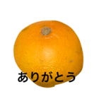 mikantati（個別スタンプ：7）