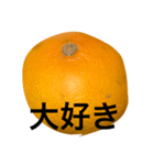 mikantati（個別スタンプ：8）