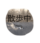 nekoparadaisu（個別スタンプ：6）