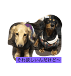 愛犬のつぶやき（個別スタンプ：6）