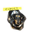 愛犬のつぶやき（個別スタンプ：9）