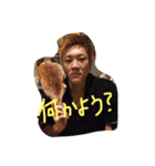 itudemotukaeruttanosiisutanpu（個別スタンプ：11）