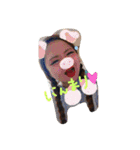 itudemotukaeruttanosiisutanpu（個別スタンプ：23）