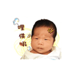 Feathers, neck feathers, a diary（個別スタンプ：1）