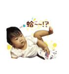 Feathers, neck feathers, a diary（個別スタンプ：2）