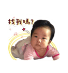 Feathers, neck feathers, a diary（個別スタンプ：4）