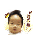 Feathers, neck feathers, a diary（個別スタンプ：5）