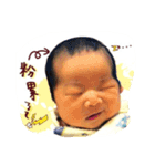 Feathers, neck feathers, a diary（個別スタンプ：8）