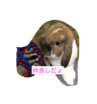 くも＆でーる（個別スタンプ：1）