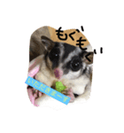 くも＆でーる（個別スタンプ：5）