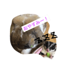 くも＆でーる（個別スタンプ：6）