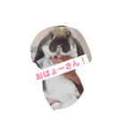 くも＆でーる（個別スタンプ：7）