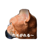 うちのまよちゃん（個別スタンプ：3）