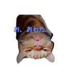 うちのまよちゃん（個別スタンプ：4）