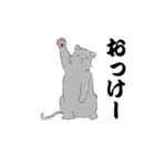 ねずみ色のねこ（個別スタンプ：1）