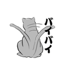 ねずみ色のねこ（個別スタンプ：19）