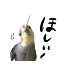 宇宙インコ（オカメの親子）（個別スタンプ：11）