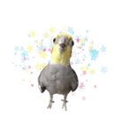 宇宙インコ（オカメの親子）（個別スタンプ：14）