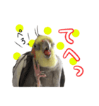 宇宙インコ（オカメの親子）（個別スタンプ：21）
